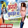 Anguri Kuchail Ba - BHAKTI SONG cover art
