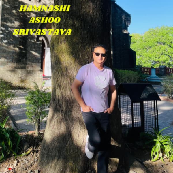 Hamnashi cover art