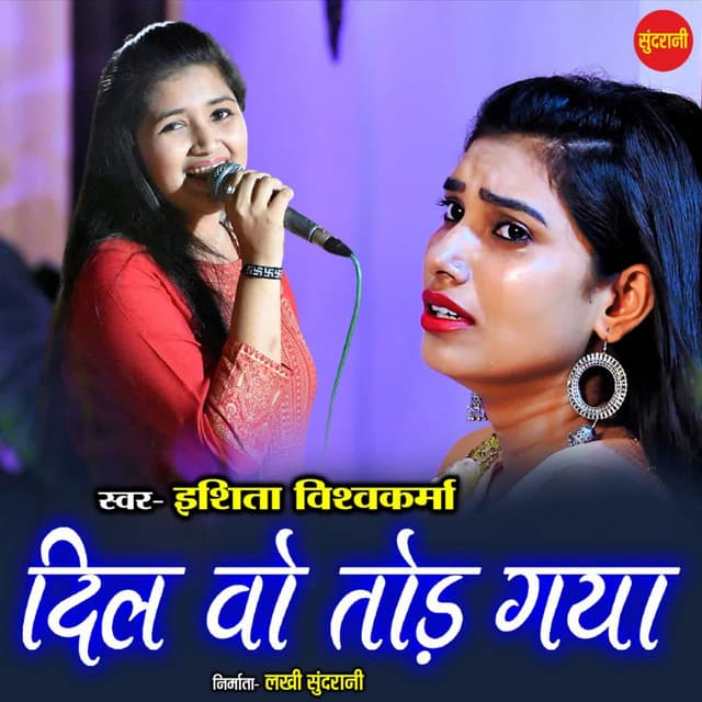 Dil Wo Tod Gaya cover art