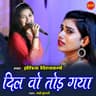 Dil Wo Tod Gaya cover art