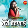 Teri Bewafai cover art