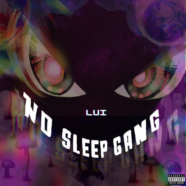 No Sleep Gang cover art
