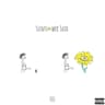 Sunflower Seed cover art
