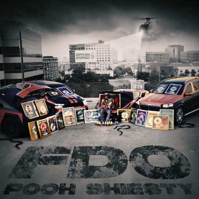 FDO cover art
