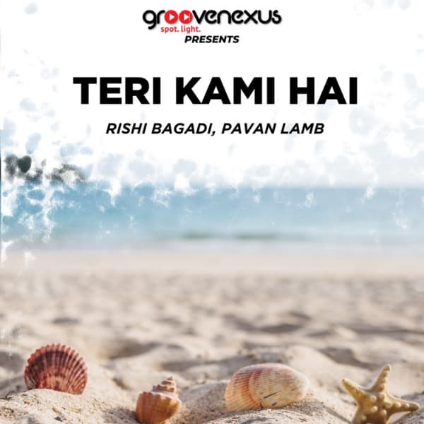 Teri Kami Hai cover art