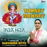 Tahney Mahney cover art