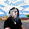Sunflower Seeds cover art