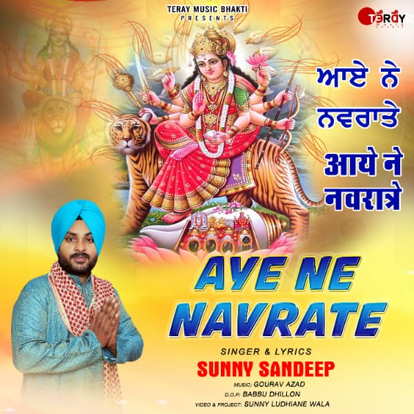 Aye Ne Navrate cover art