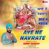 Aye Ne Navrate cover art