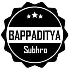 Bappaditya Subhro profile photo