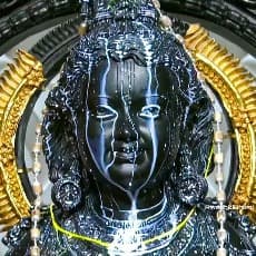Kartik Prajapati profile photo