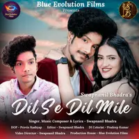 Dil Se Dil Mile cover art
