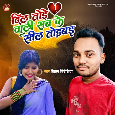 Dil tore wali sab ke sil torbai cover art