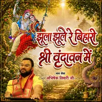 Jhula Jhule Re Bihari Shree Vrindavan Mein cover art