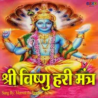 Vishnu ji mantra cover art